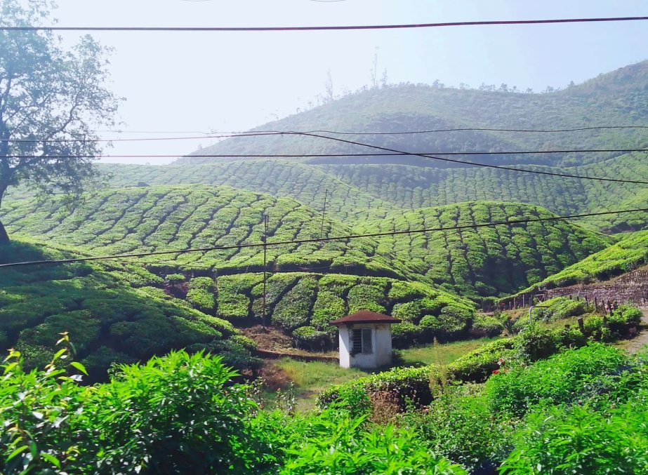 Places to visit in Assam