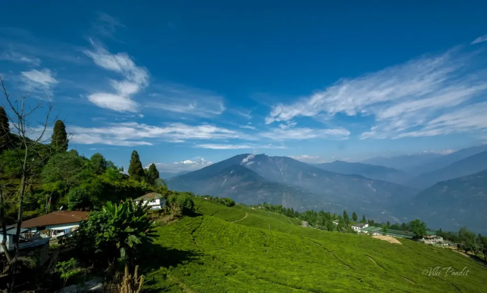 Bagdogra Airport to Pelling Taxi - Siliguri, Bagdogra Airport & NJP Taxi Fare Chart (2026) | Book Fixed-Rate Hill Cabs