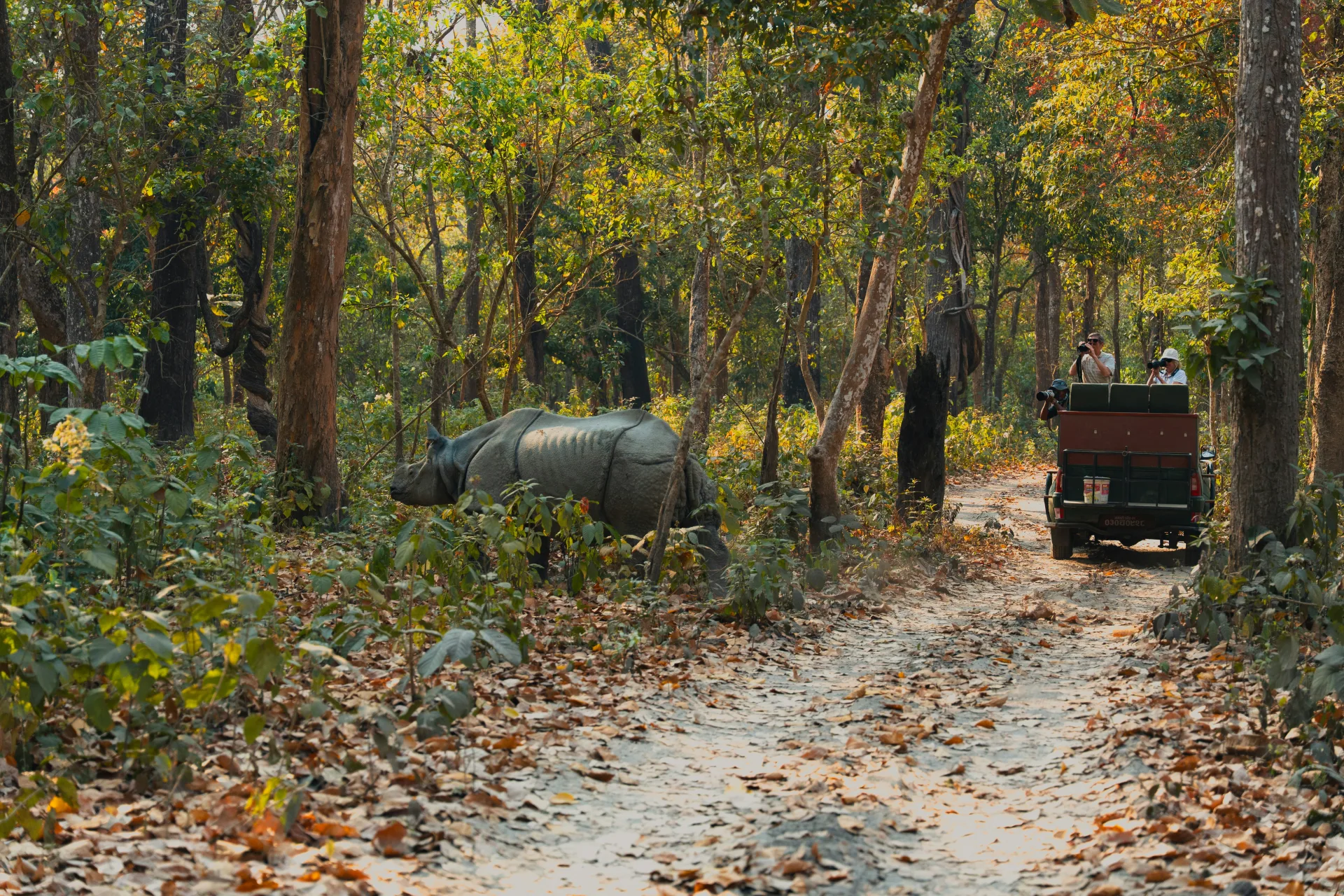 Chitwan Jungle Safari Express