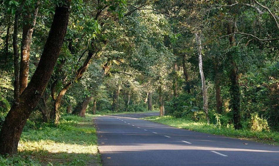 Places to visit in Dooars