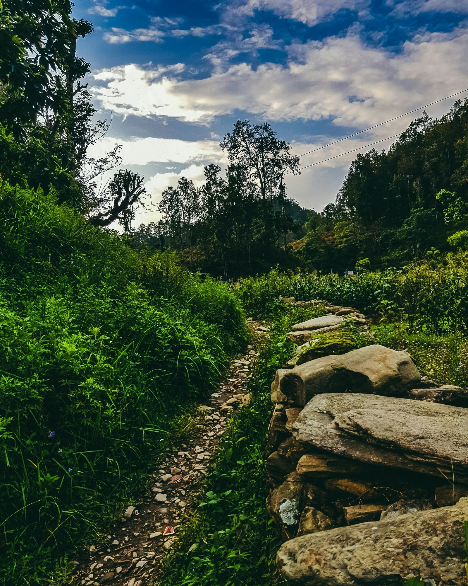 Historic architecture and stone stairways at Gorkha Durbar