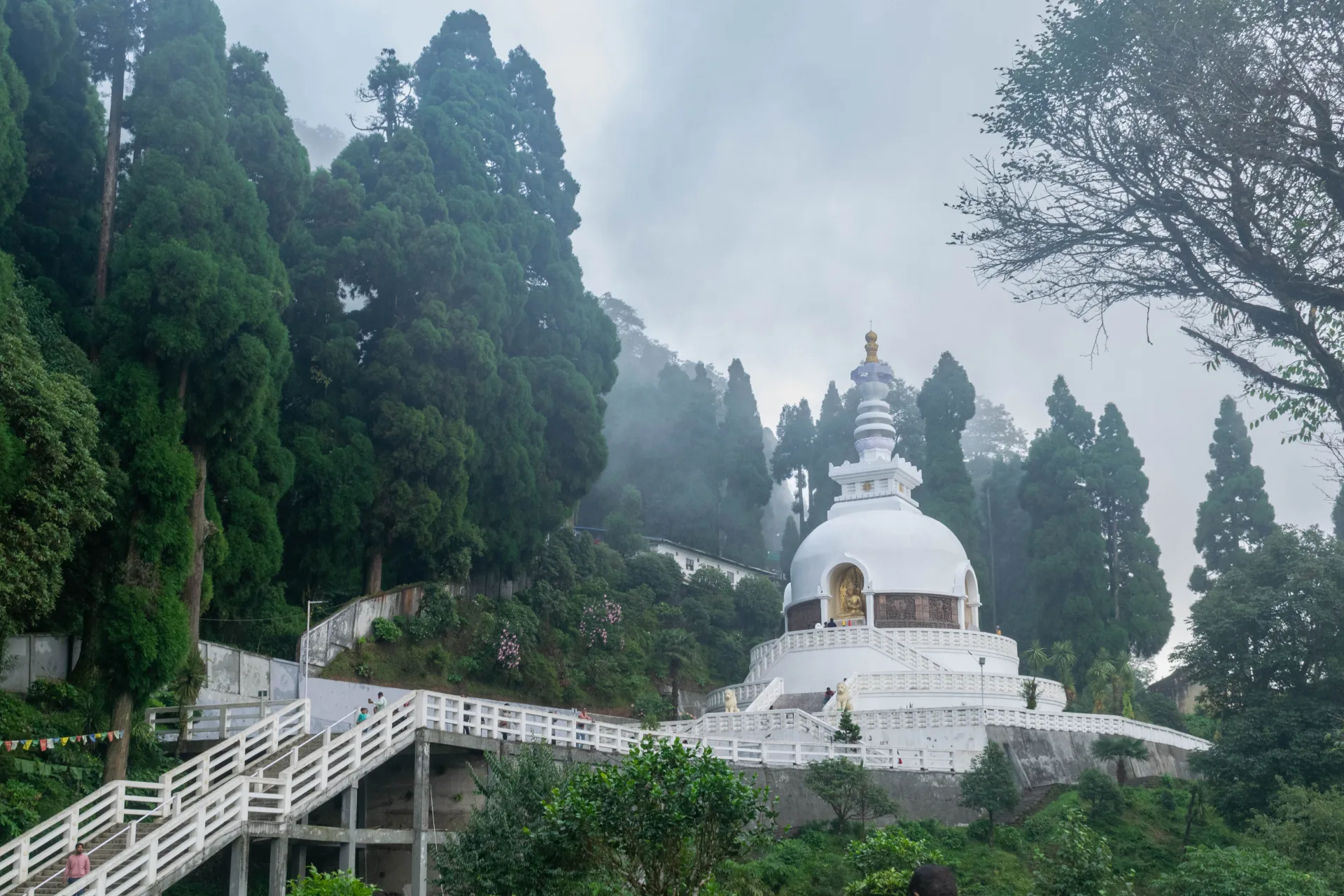 Darjeeling Photography, Sunrise & Monasteries Tour