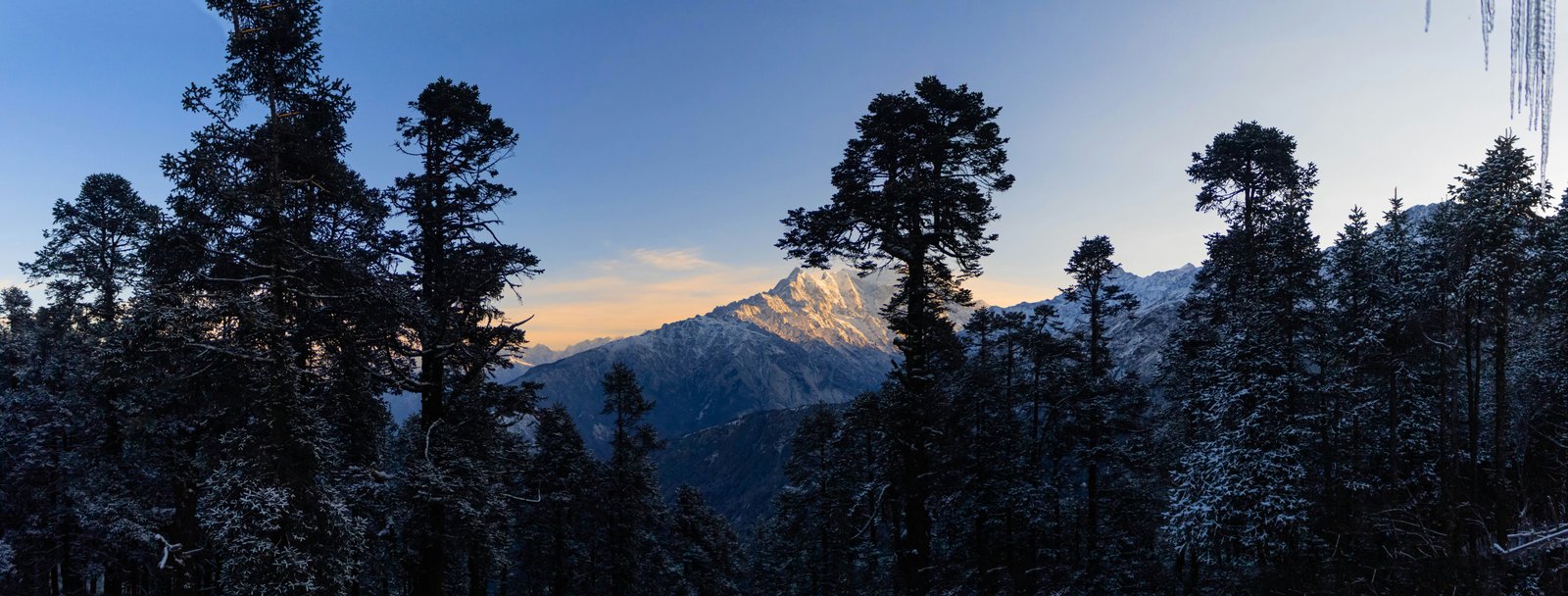 Langtang National Park Nepal