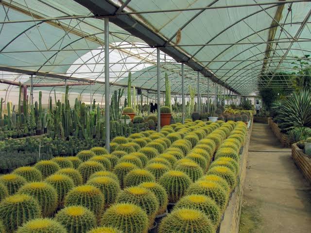 Kalimpong Trip Cost