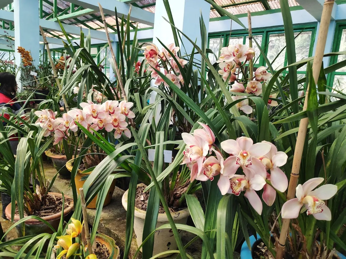 Takdah Orchid Centre and Heritage Bungalows