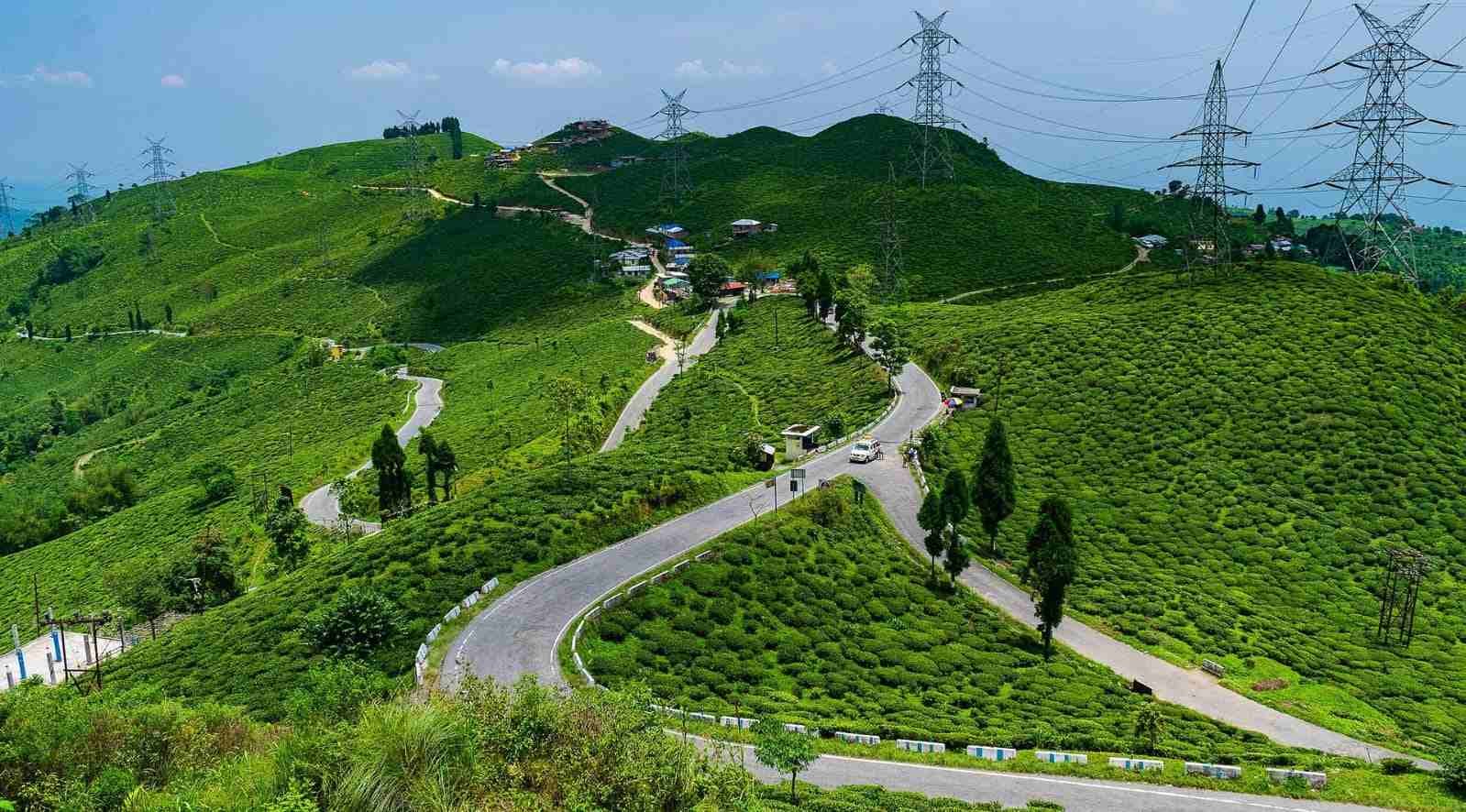 A premium sedan taxi driving through the lush tea gardens on the way to Mirik