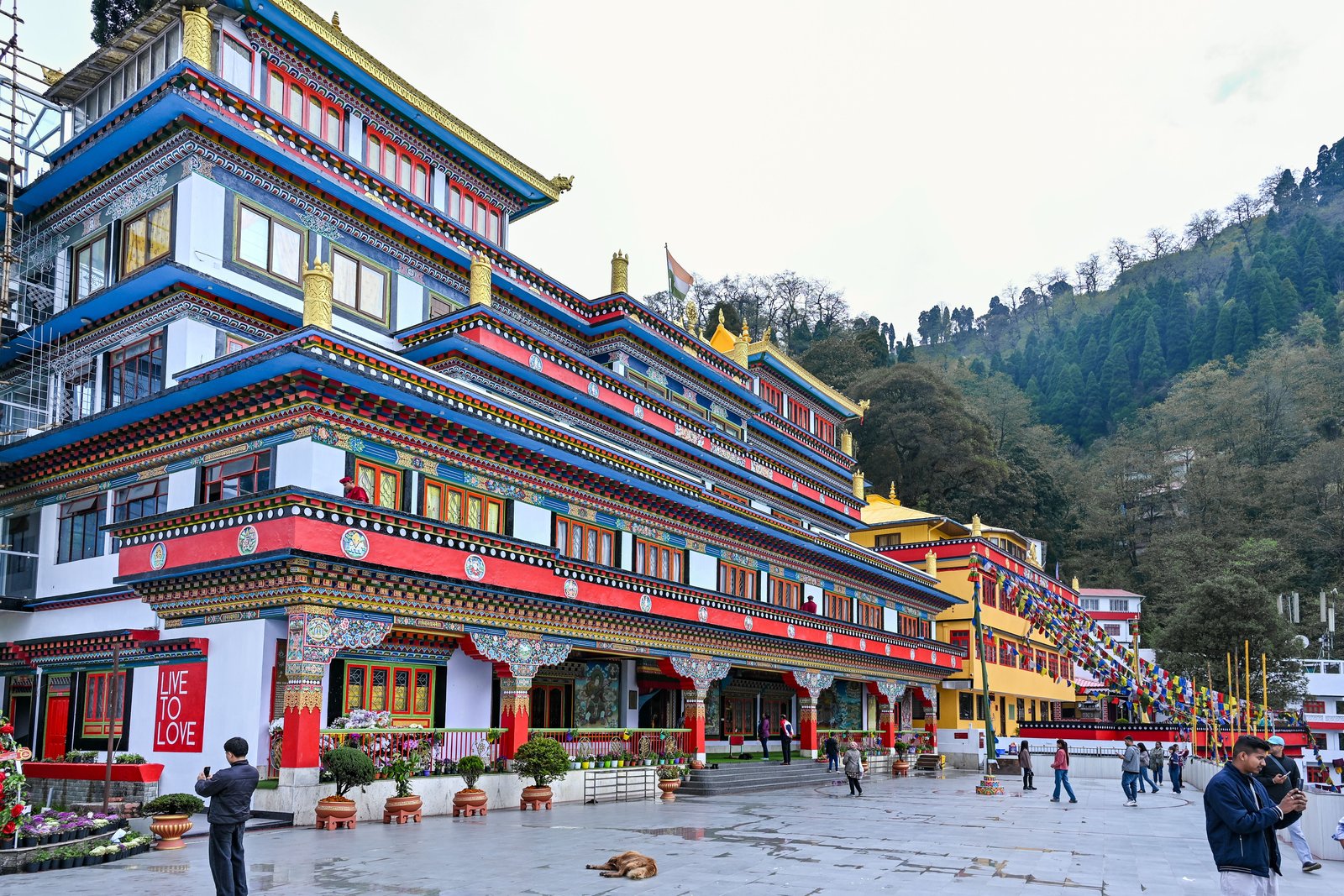 Darjeeling and Gangtok Combo Tour Package