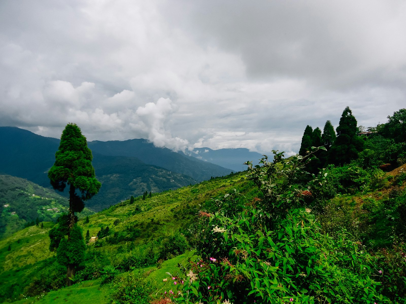 Darjeeling Tour Package