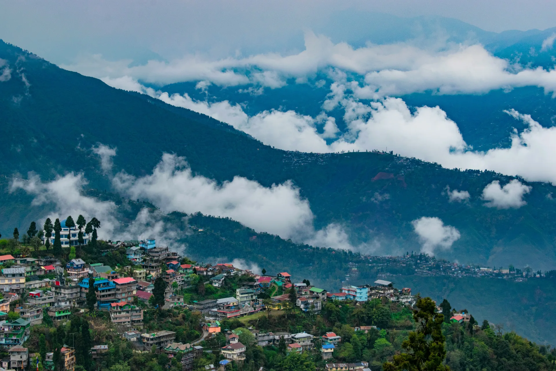 Chatakpur Silent Forest & Tiger Hill Day Excursion