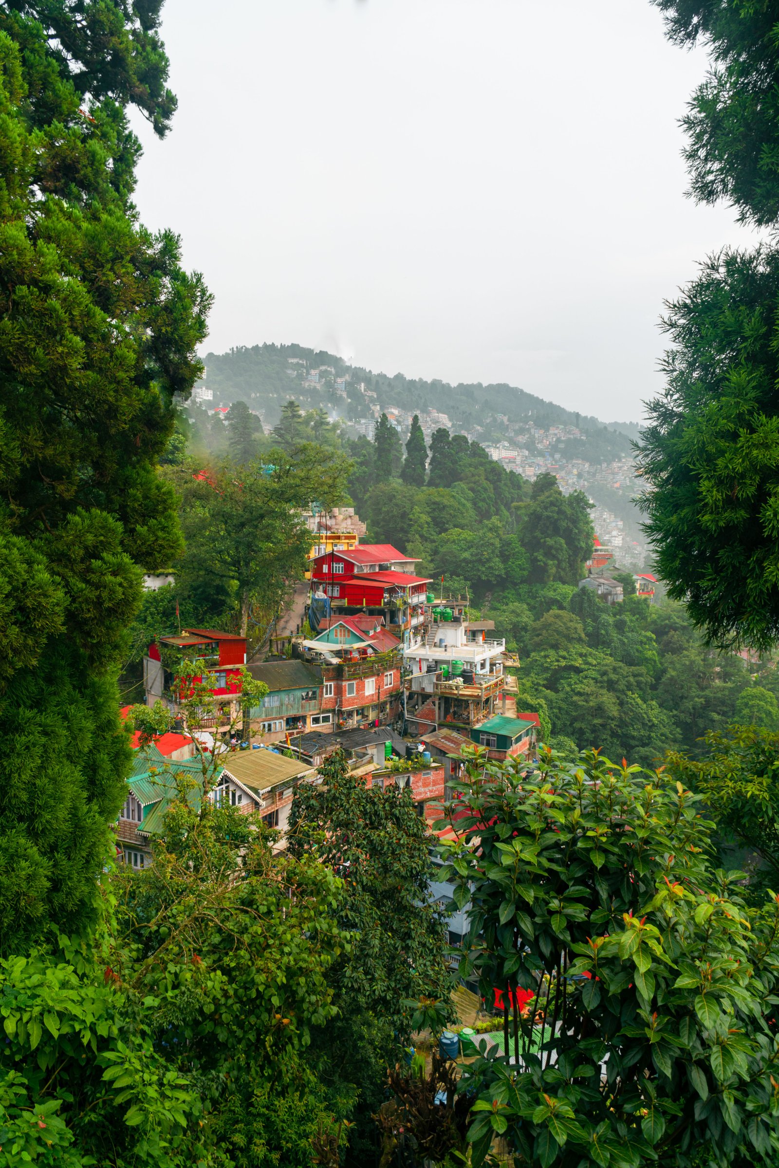 Darjeeling Tour Packages under 3000 For Family