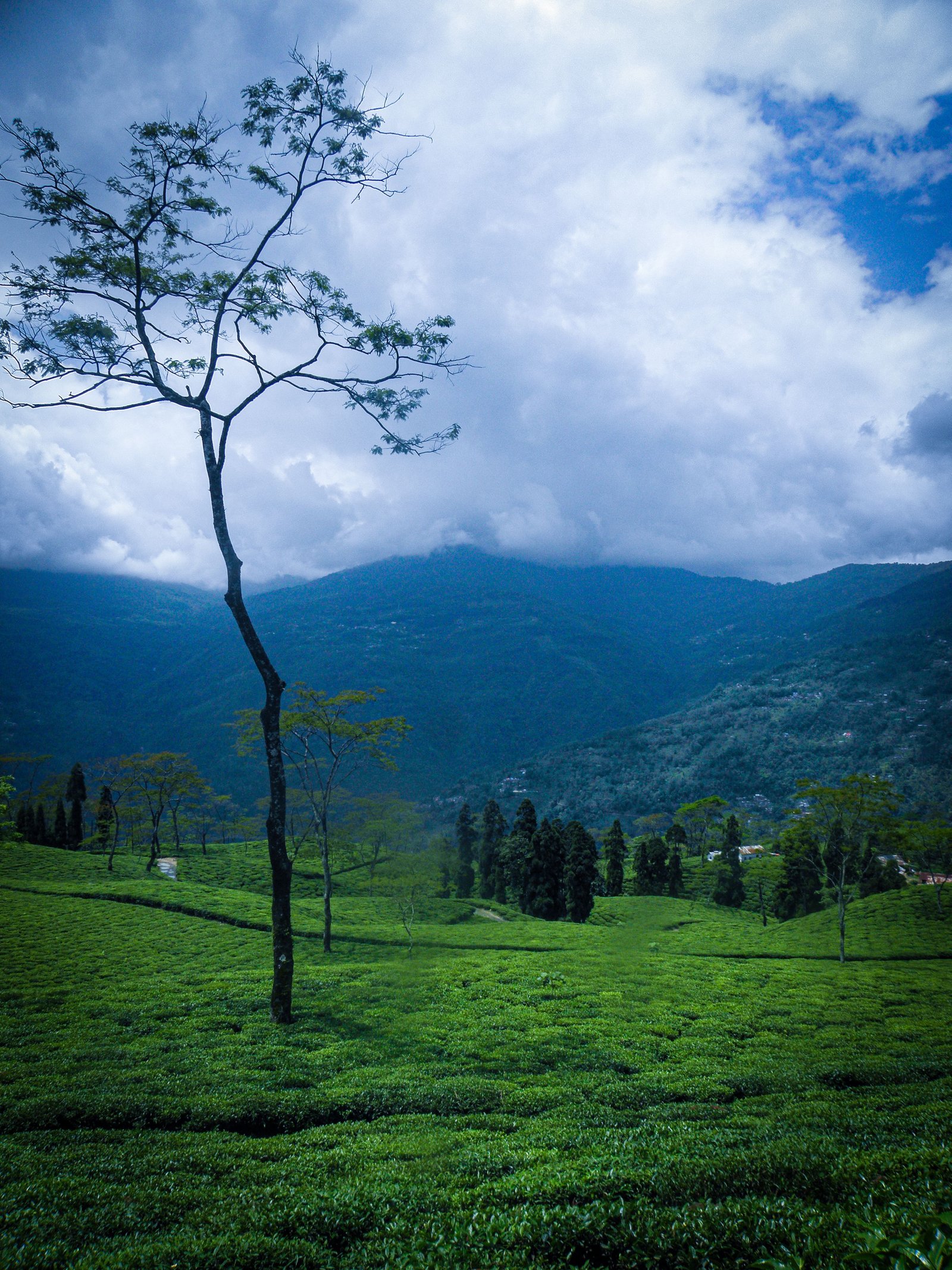 Darjeeling tour package under 3000 for couple