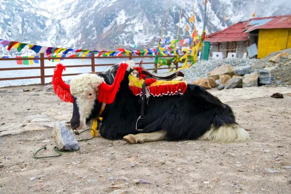 Sikkim Tour Package for 5 Days